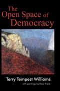 The Open Space of Democracy