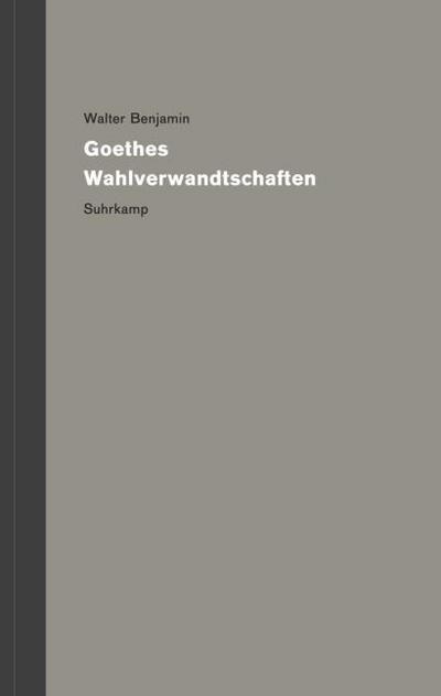 Werke und Nachlaß. Kritische Gesamtausgabe