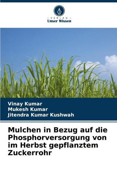 Mulchen in Bezug auf die Phosphorversorgung von im Herbst gepflanztem Zuckerrohr