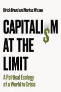 Capitalism at the Limit