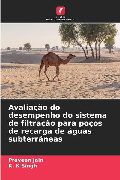 Avaliação do desempenho do sistema de filtração para poços de recarga de águas subterrâneas