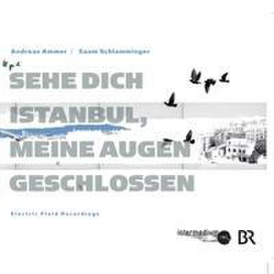 Sehe dich Istanbul, meine Augen geschlossen