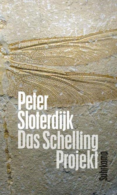 Sloterdijk, P: Schelling-Projekt
