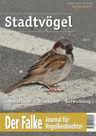 Stadtvögel