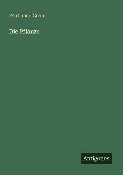 Die Pflanze