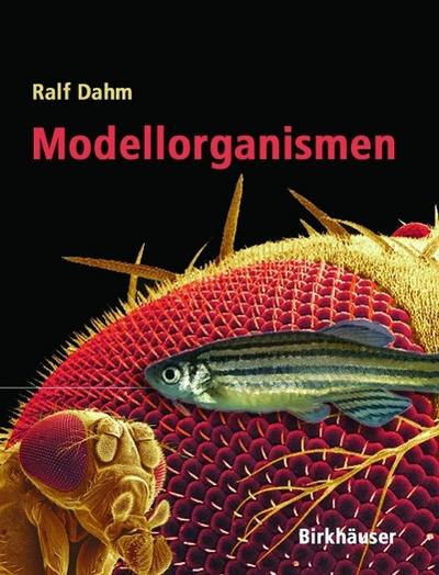 Modellorganismen