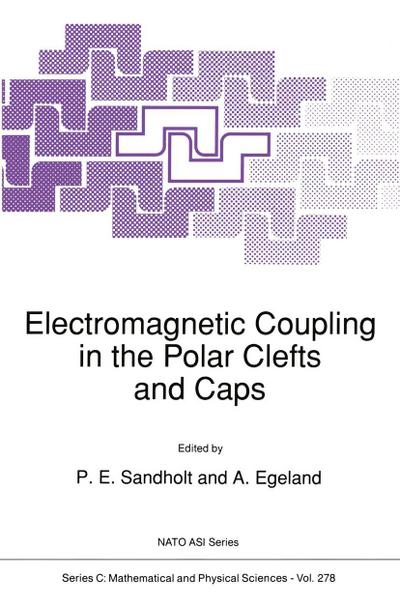 Electromagnetic Coupling in the Polar Clefts and Caps