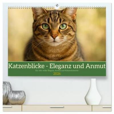 Katzenblicke - Eleganz und Anmut (hochwertiger Premium Wandkalender 2026 DIN A2 quer), Kunstdruck in Hochglanz