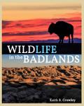 WILDLIFE in the BADLANDS