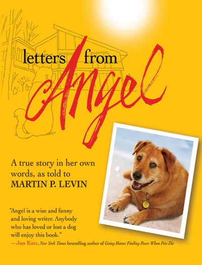 Letters from Angel