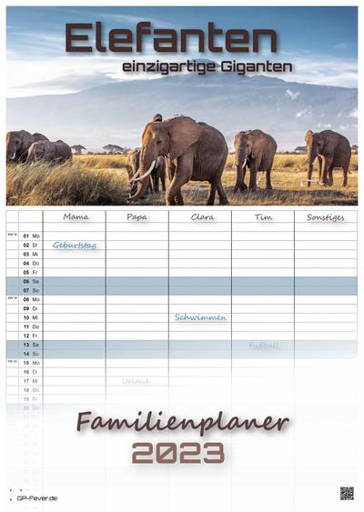 Elefanten - einzigartige Giganten - 2023 - Kalender DIN A3 - (Familienplaner)