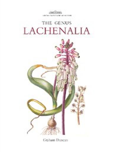 Genus Lachenalia