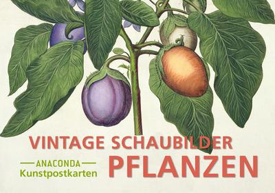Postkarten-Set Vintage-Schaubilder Pflanzen