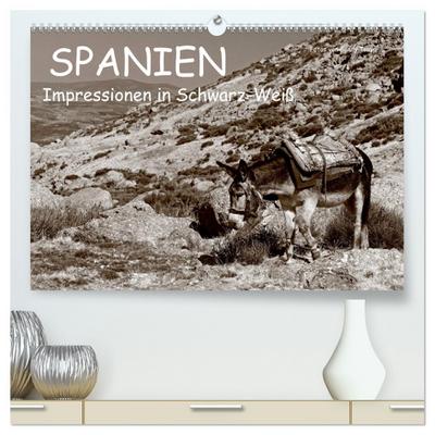 Spanien Impressionen in Schwarz-Weiß (hochwertiger Premium Wandkalender 2025 DIN A2 quer), Kunstdruck in Hochglanz
