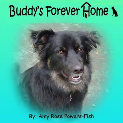 Buddy’s Forever Home