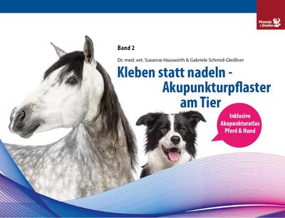 Kleben statt nadeln-Akupunkturpflaster am Tier 2