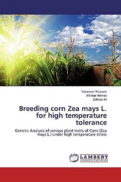 Breeding corn Zea mays L. for high temperature tolerance