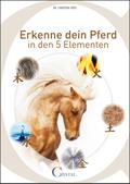 Erkenne dein Pferd in den 5 Elementen