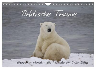 Arktische Träume - Eisbären in Kanada (Wandkalender 2026 DIN A4 quer), CALVENDO Monatskalender