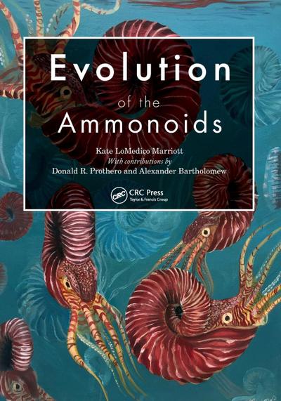 Evolution of the Ammonoids