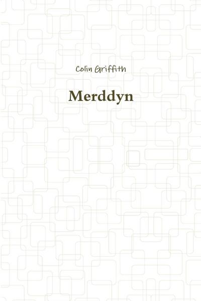 Merddyn