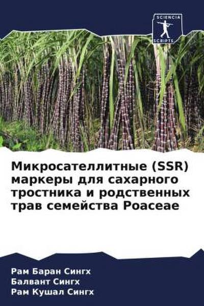 Mikrosatellitnye (SSR) markery dlq saharnogo trostnika i rodstwennyh traw semejstwa Poaceae