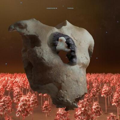 TORSO, 1 Audio-CD