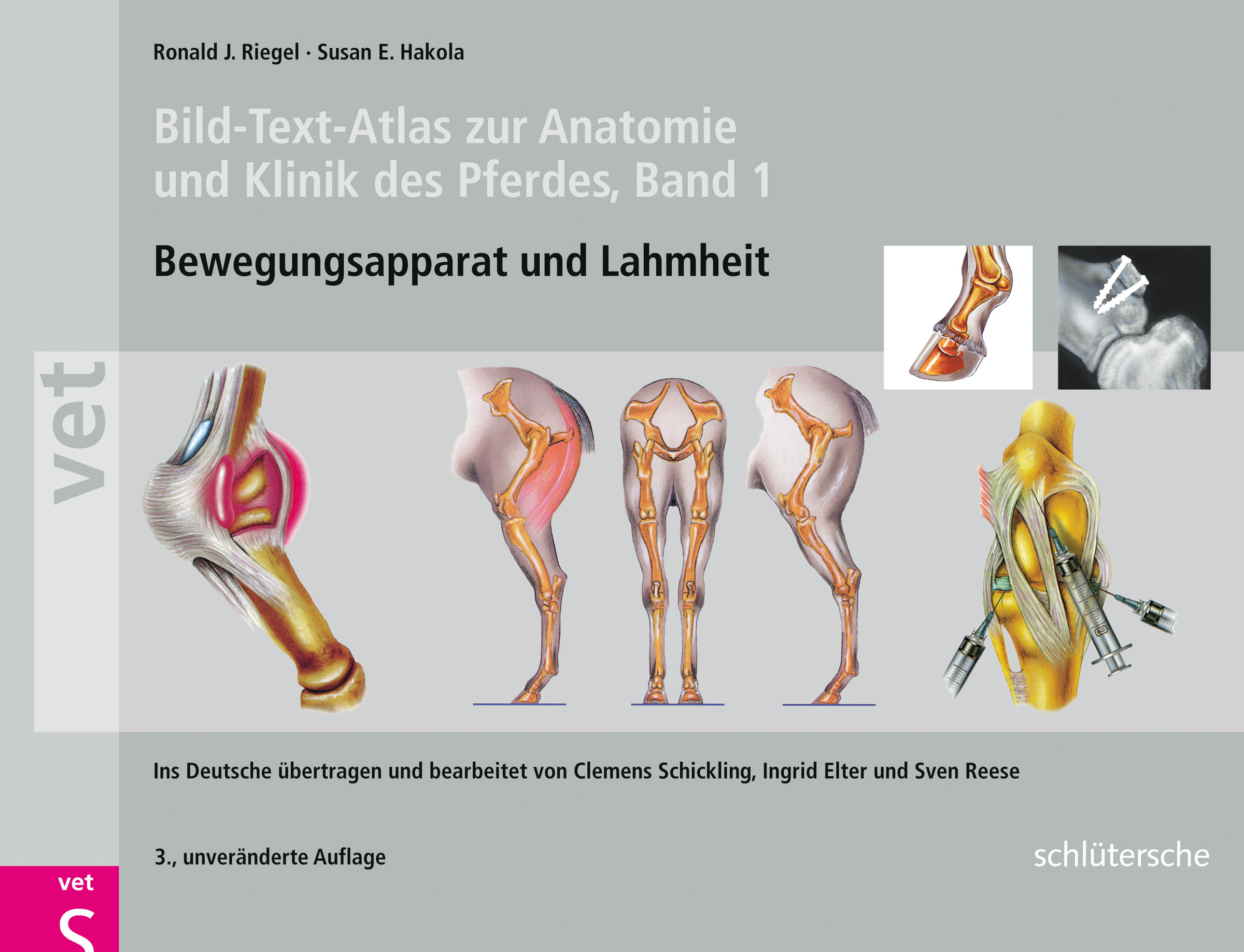Bild Text Atlas Zur Anatomie Und Klinik Des Pferdes Von Ronald J Riegel Gebundene Ausgabe Gunstig Kaufen Ebay