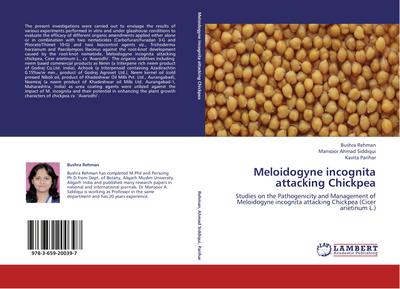 Meloidogyne incognita attacking Chickpea
