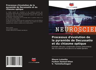 Processus d’évolution de la pyramide de Decussatio et du chiasme optique