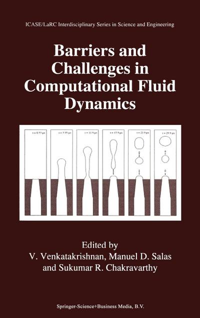 Barriers and Challenges in Computational Fluid Dynamics