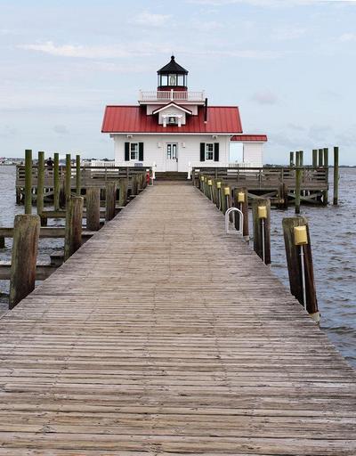 El banc de la desolaci? / La b?stia a la jungla