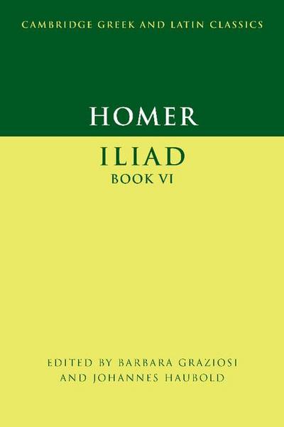 Iliad, Book 6