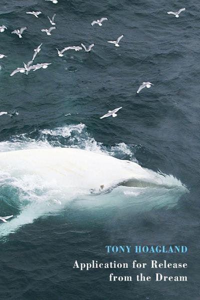 Application for Release from the Dream