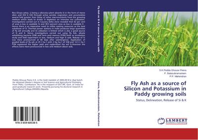 Fly Ash as a source of Silicon and Potassium in Paddy growing soils