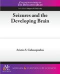 Seizures and the Developing Brain