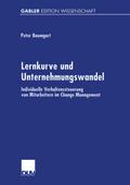 Lernkurve und Unternehmungswandel