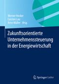 Zukunftsorientierte Unternehmenssteuerung in der E