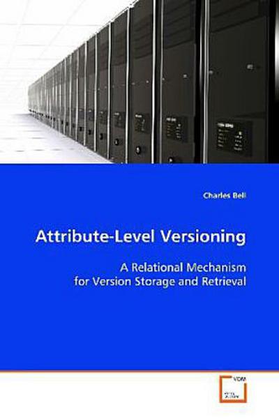 Attribute-Level Versioning