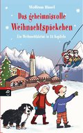 Die geheimnisvollen Weihnachtspäckchen