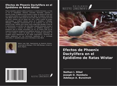 Efectos de Phoenix Dactylifera en el Epidídimo de Ratas Wistar