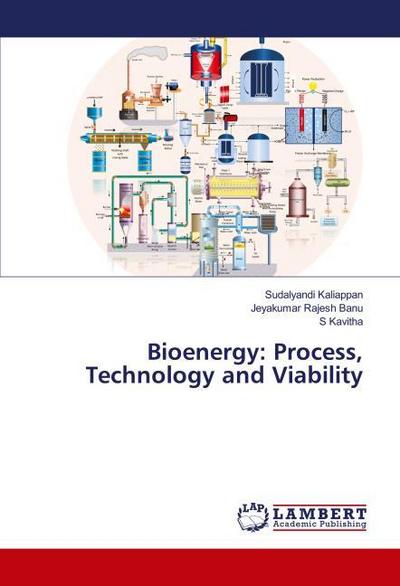Bioenergy: Process, Technology and Viability
