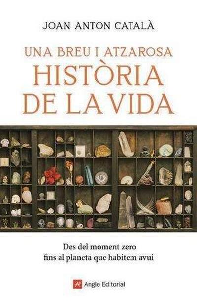Una breu i atzarosa història de la vida