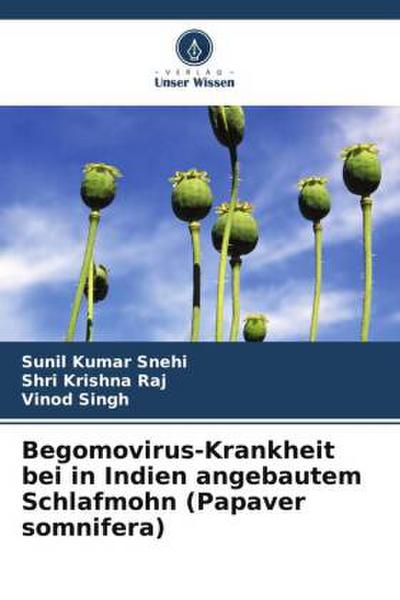 Begomovirus-Krankheit bei in Indien angebautem Schlafmohn (Papaver somnifera)