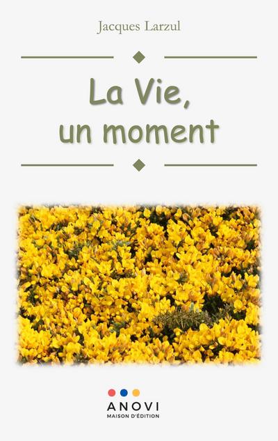Larzul, J: Vie, un moment