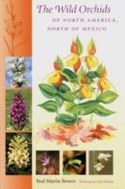 The Wild Orchids of North America, North of Mexico