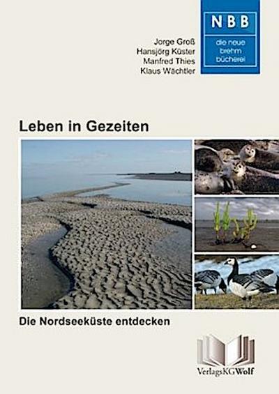 Leben in Gezeiten