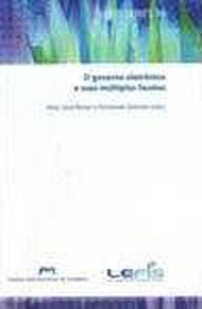 O governo electrónico e suas múltiplas facetas