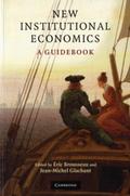 New Institutional Economics