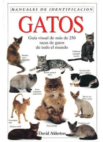 Gatos : una guía visual